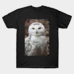 Golden Eye Snowy Owl T-Shirt